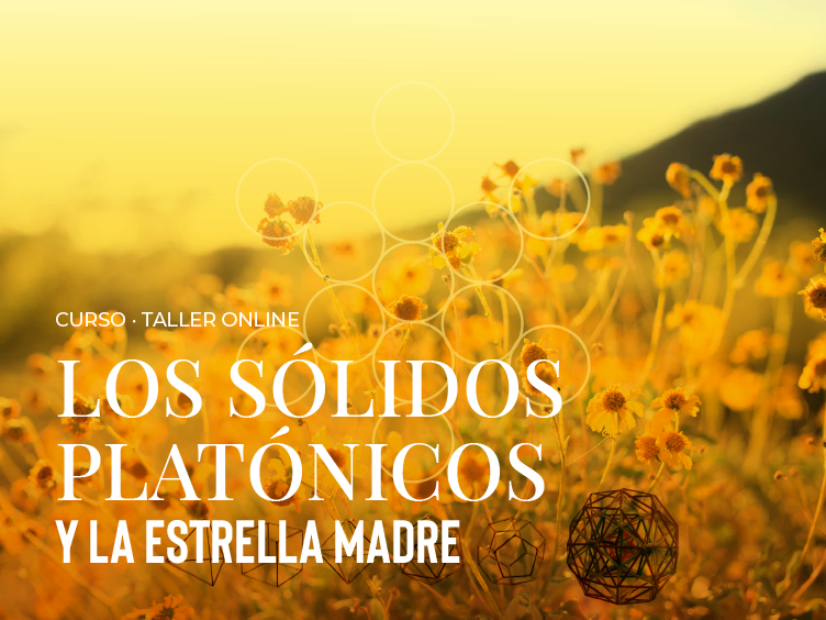 cursos-banner-solidos